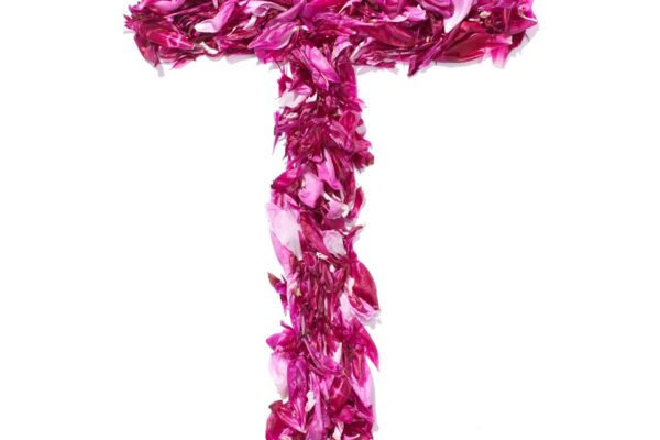 T symbols web1 T symbols web1